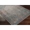 Livabliss Colin CLN-2311 Machine Washable Area Rug CLN2311-679 - alternate 2